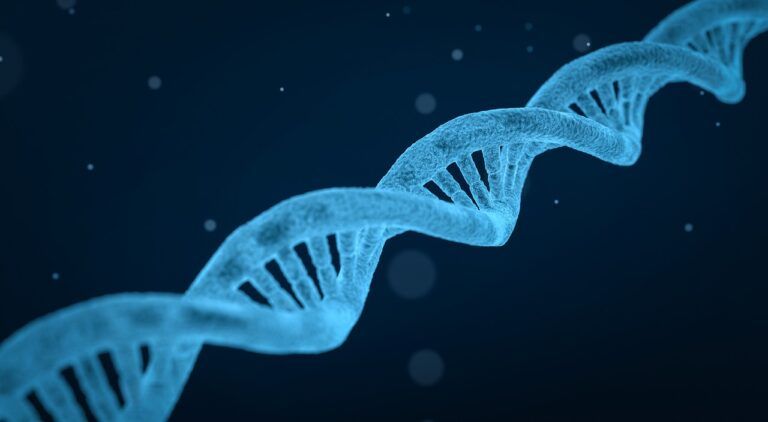 Máster Medicina Regenerativa y Antienvejecimiento